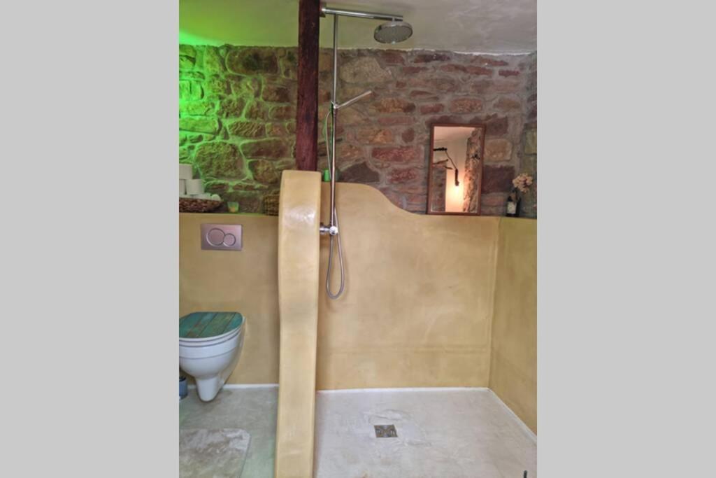 Schoene Ferienwohnung Mit Kamin Neustadt an der Weinstraße Esterno foto