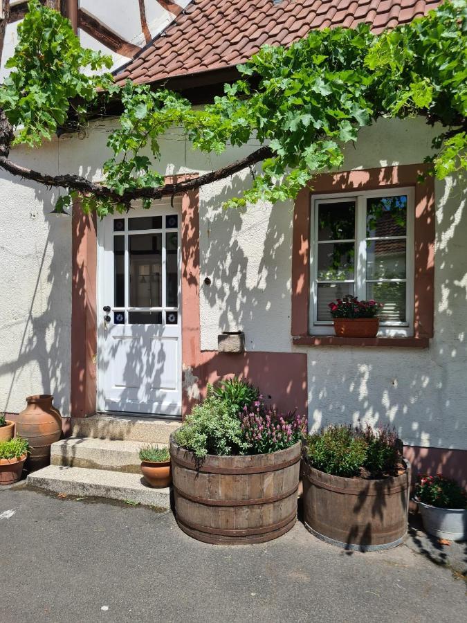 Schoene Ferienwohnung Mit Kamin Neustadt an der Weinstraße Esterno foto